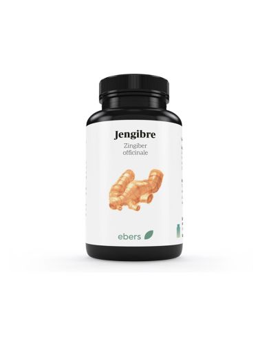 Ebers Jengibre 50 comprimidos 500 mg